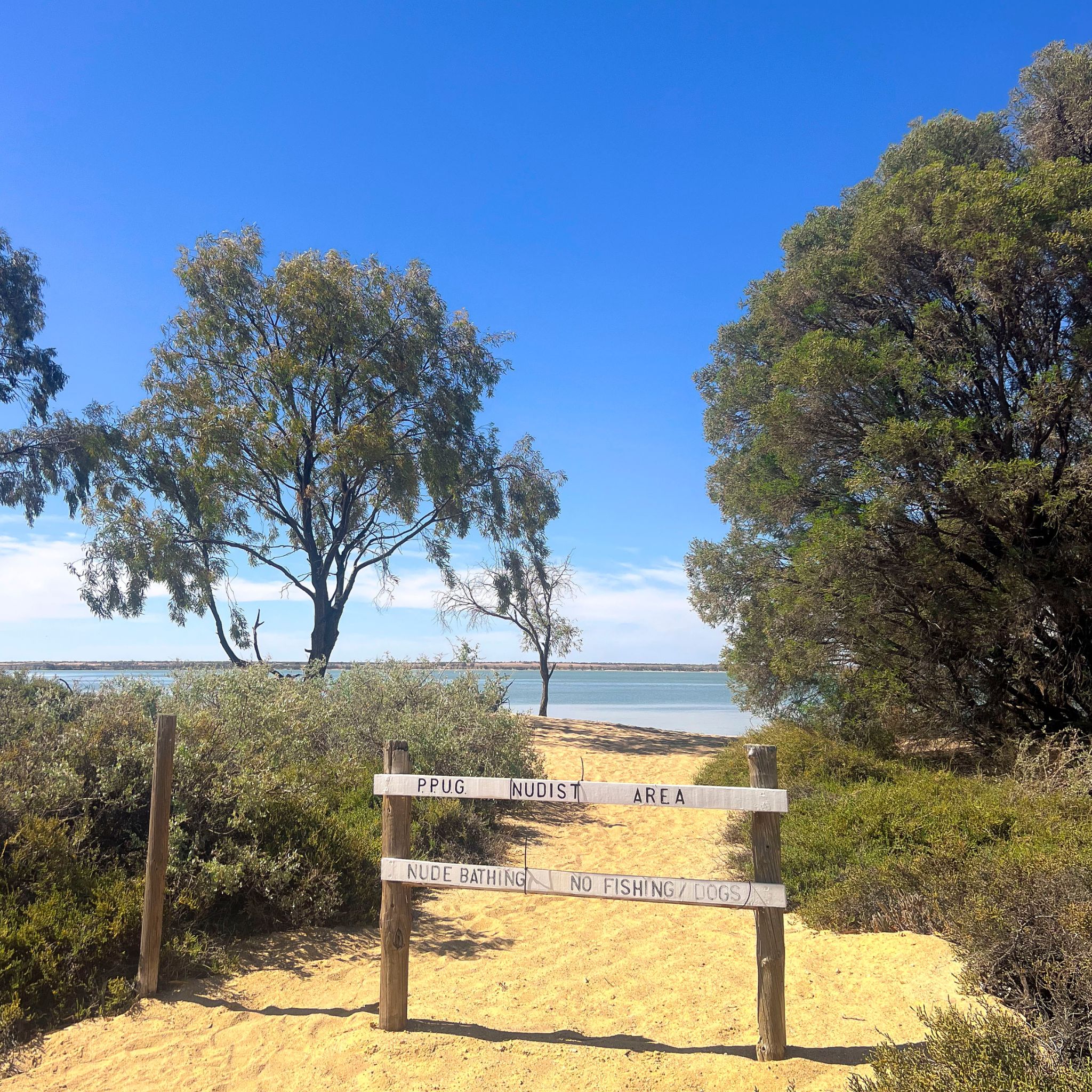 Nude beach in Adelaide