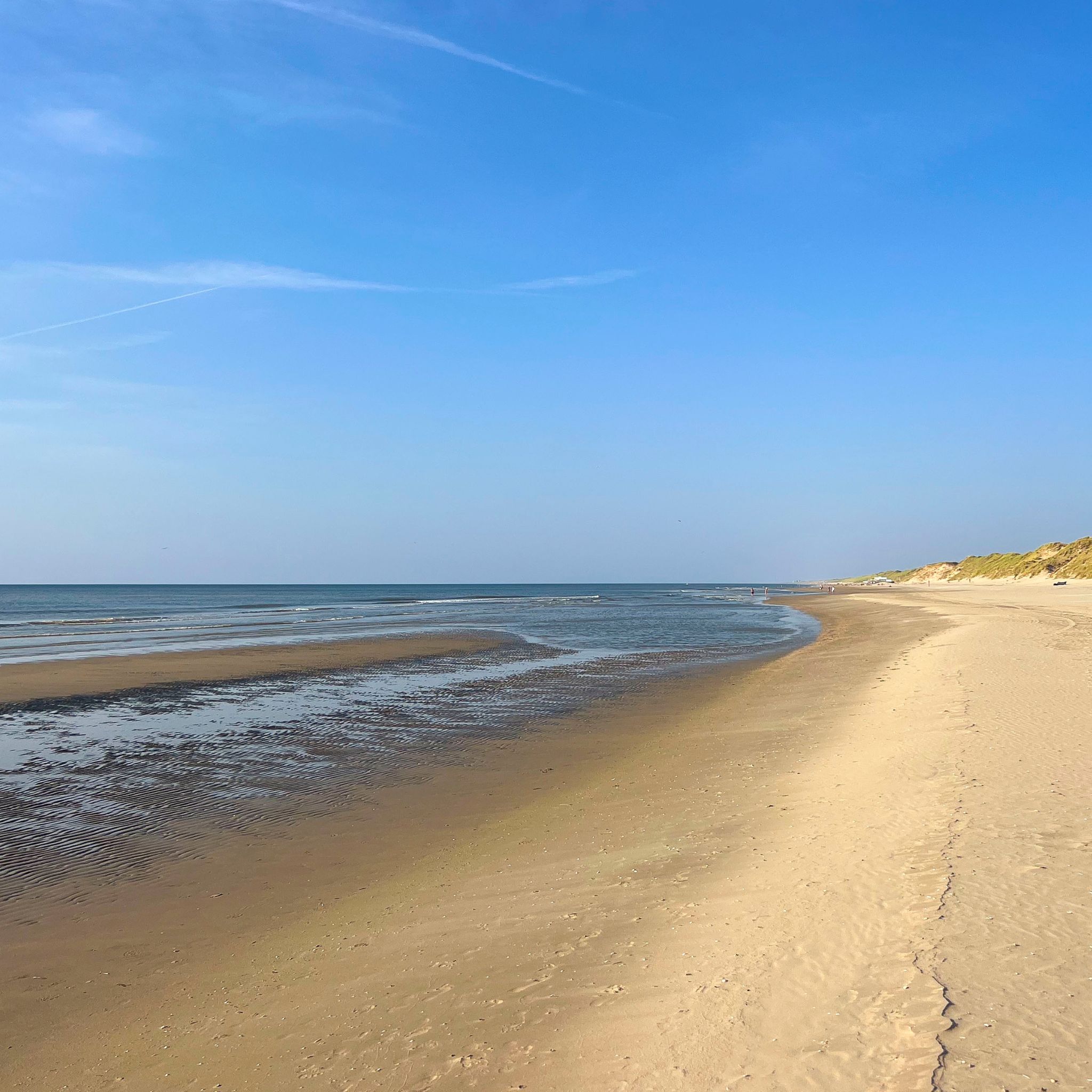 Nude beach in Amsterdam
