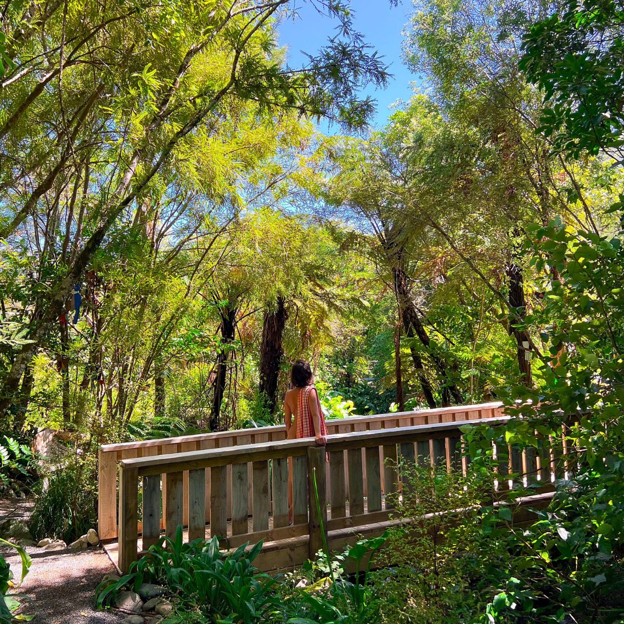 Wellington Naturist Club in NZ