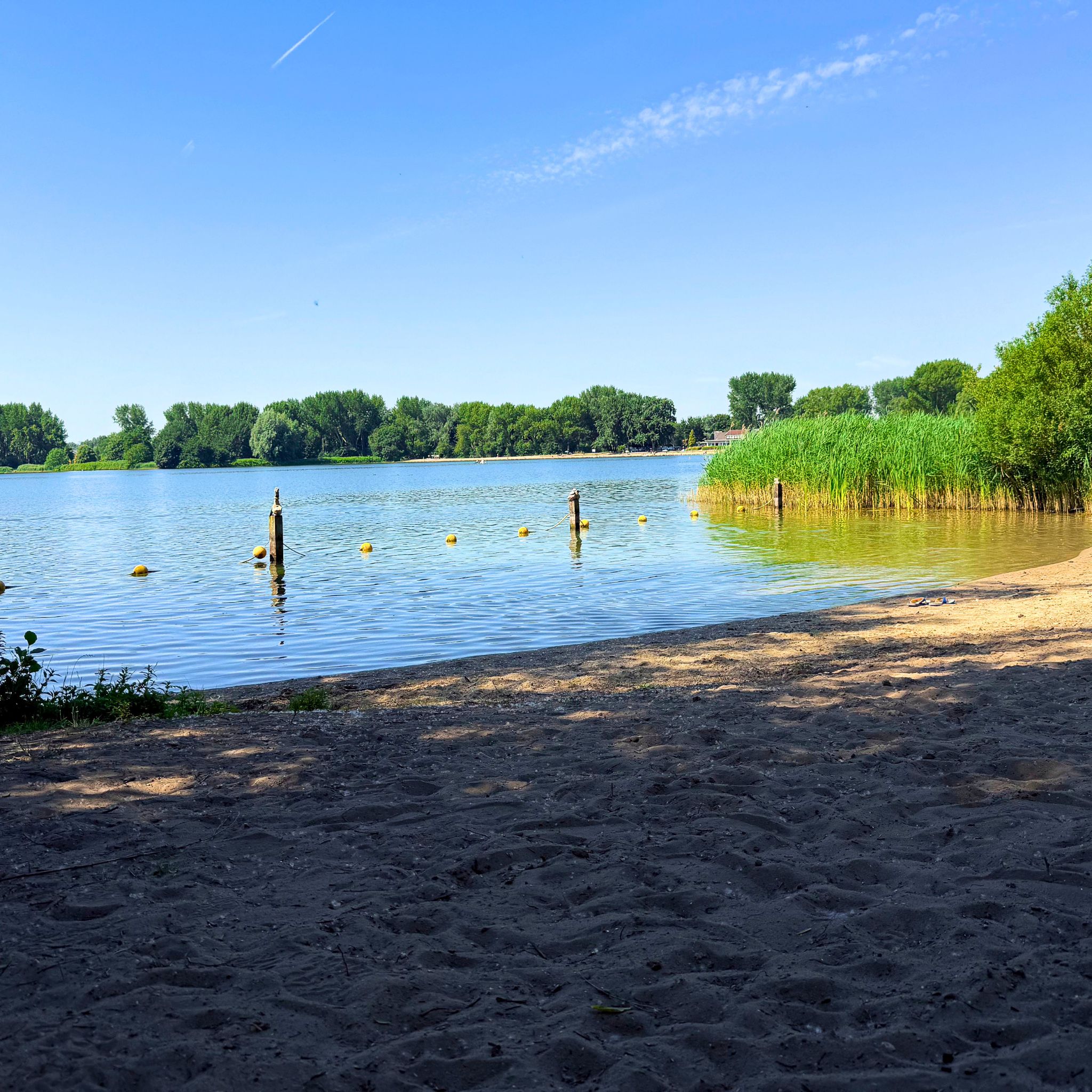 Nude beach in The Hague