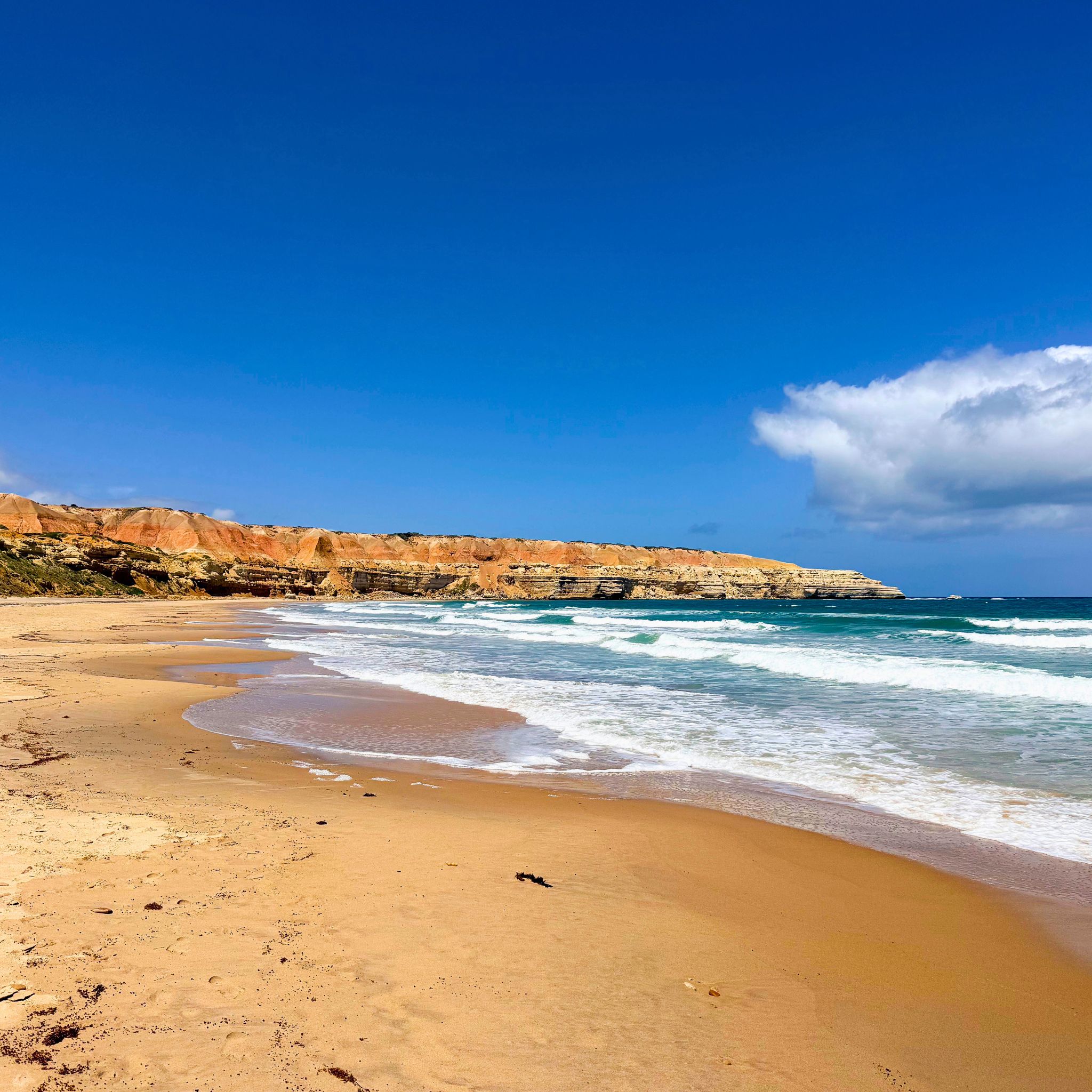 Nude beach in Adelaide