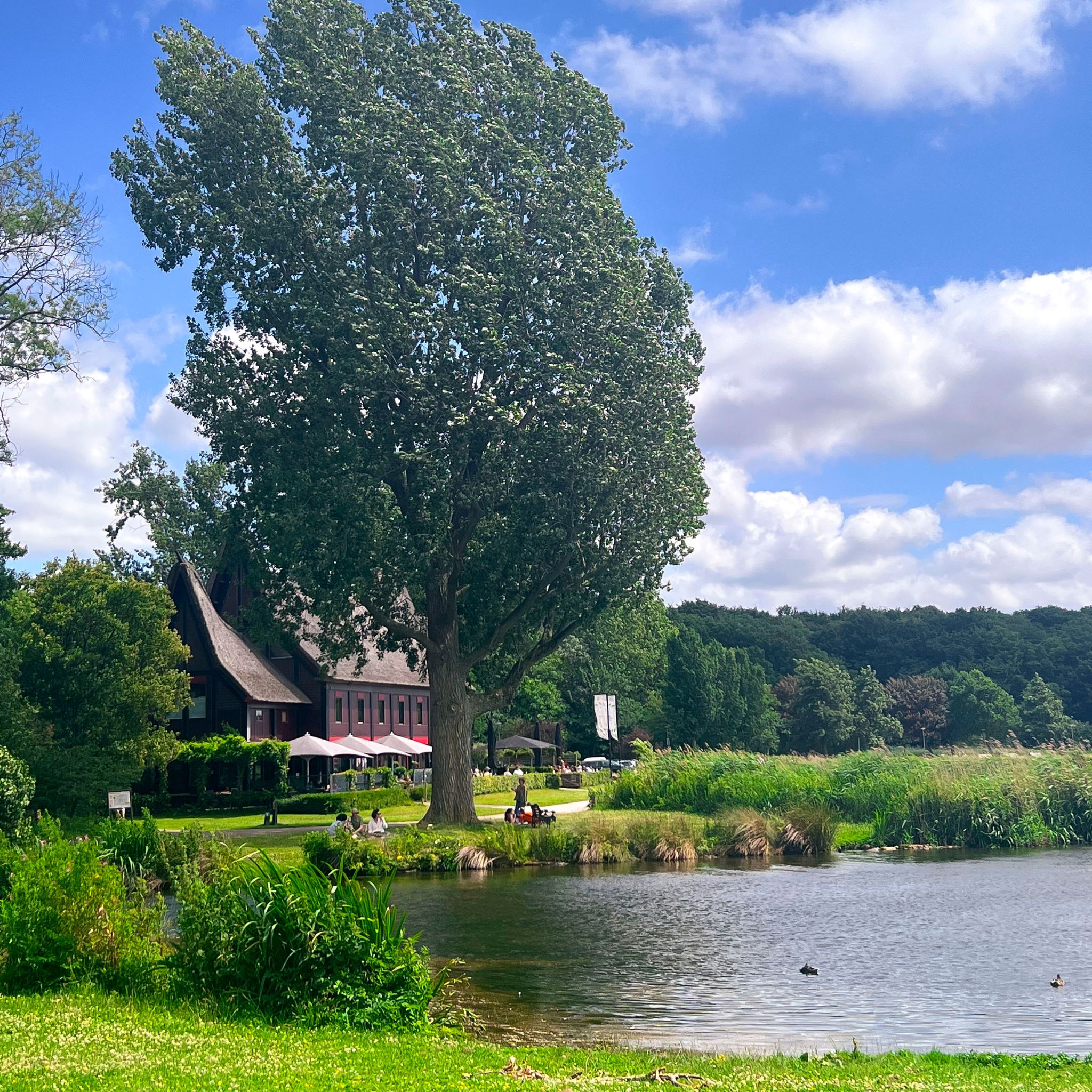 Nude beach in Rottedam