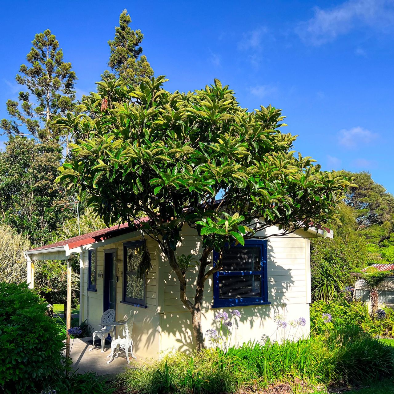 Auckland Outdoor Naturist Resort