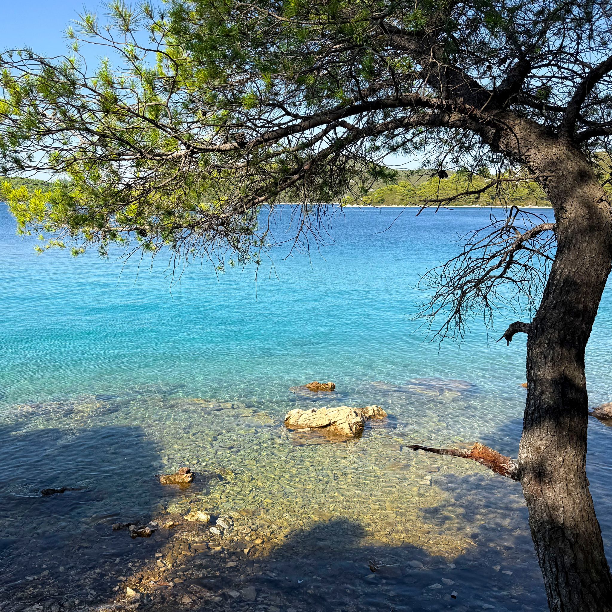 Nude beach in Murter Island