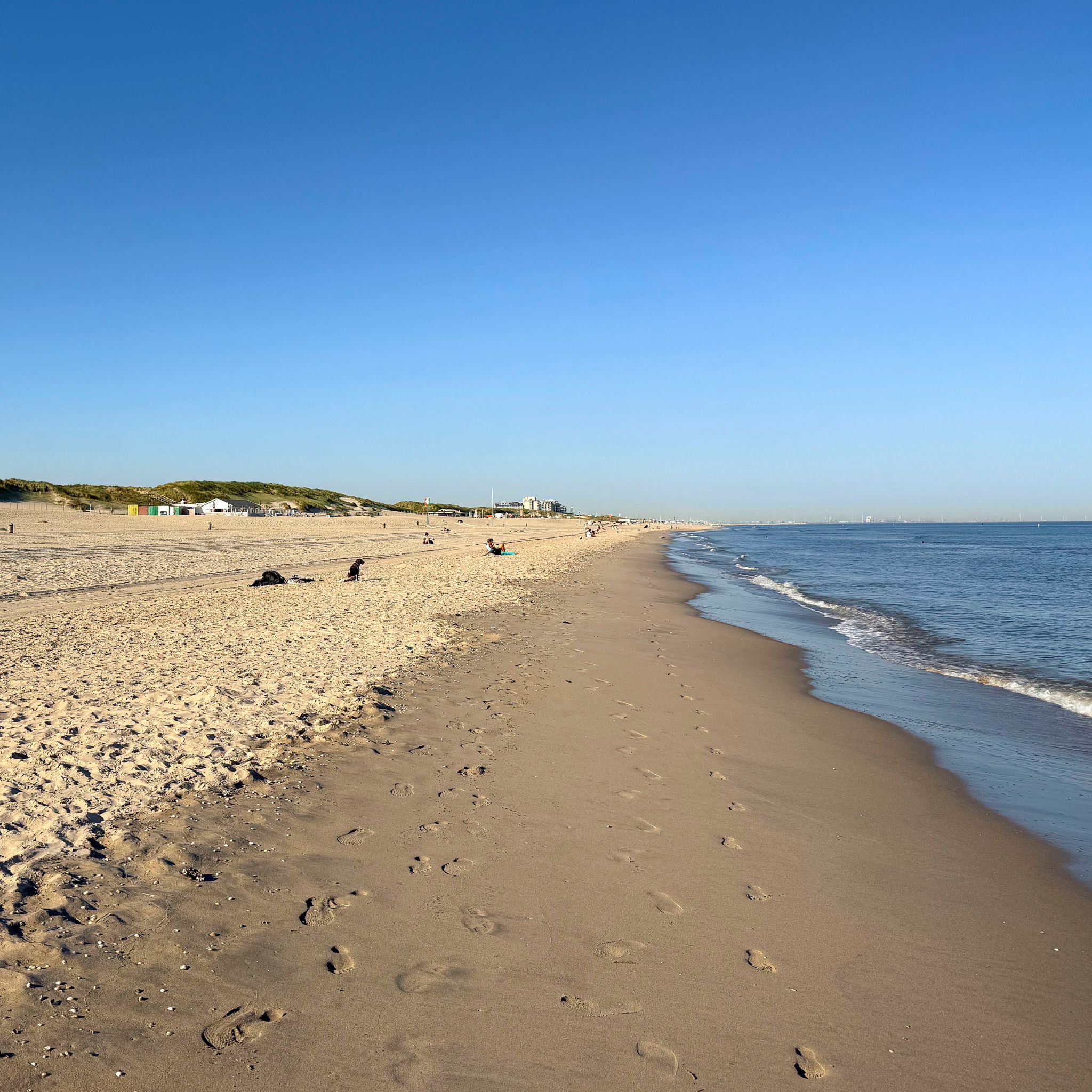 Nude beach in The Hague