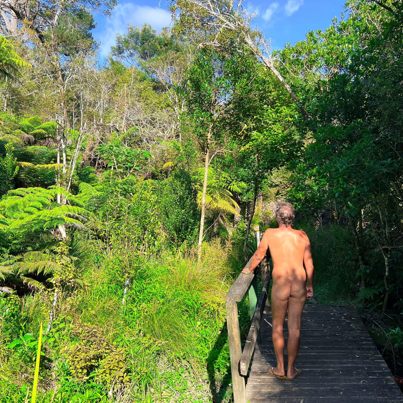 Auckland Outdoor Naturist Resort